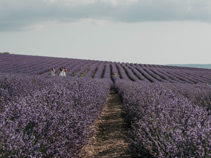regenerative agriculture